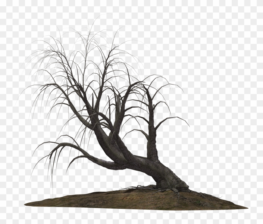 Creepy Tree 21 By Wolverine041269 On Clipart Library - Creepy Trees Png #382261