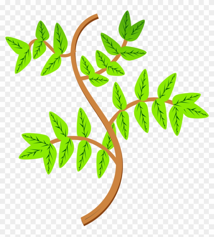 Branch Clipart Leaf Branch - Branch Leaves Clip Art #382291