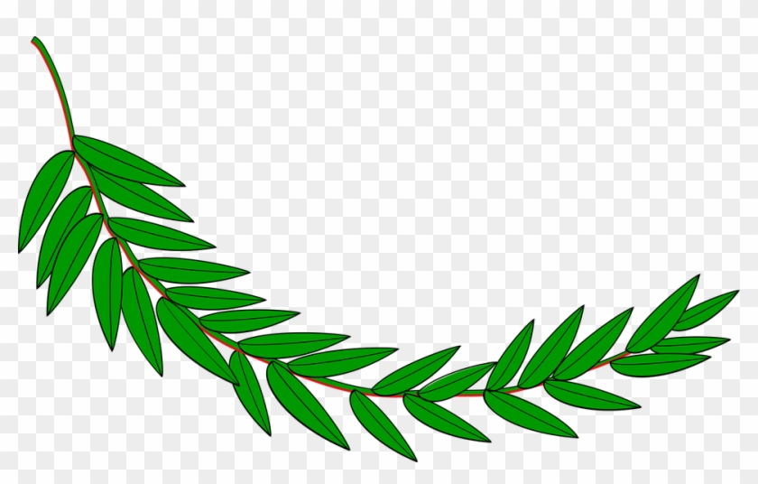 Branch Leaves Cliparts 7, Buy Clip Art - Hojas De Laurel Dibujo #382314