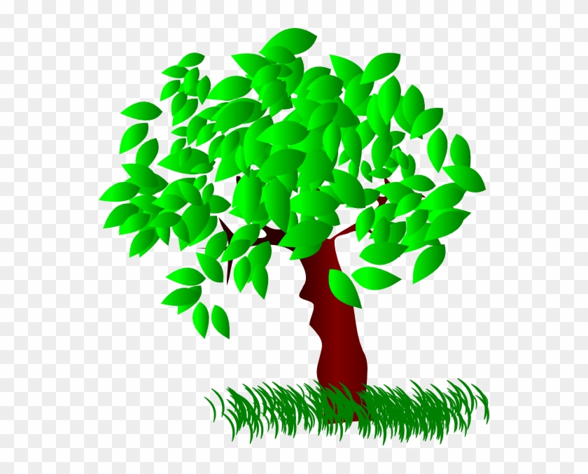 Clipart Tree Leaves - Trees And Leaves Clipart #382318