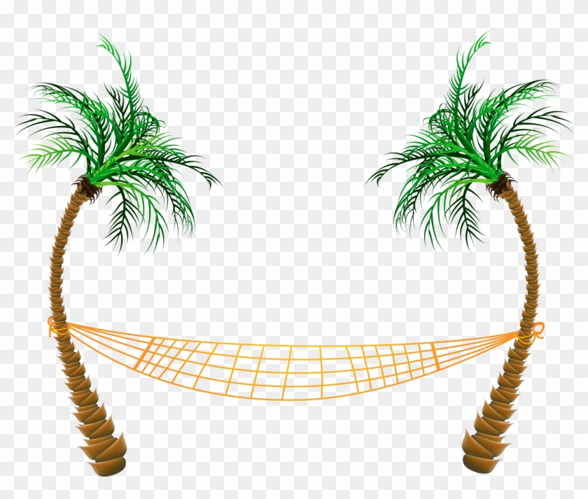 Palm Hammock - - Beach Transparent #382505