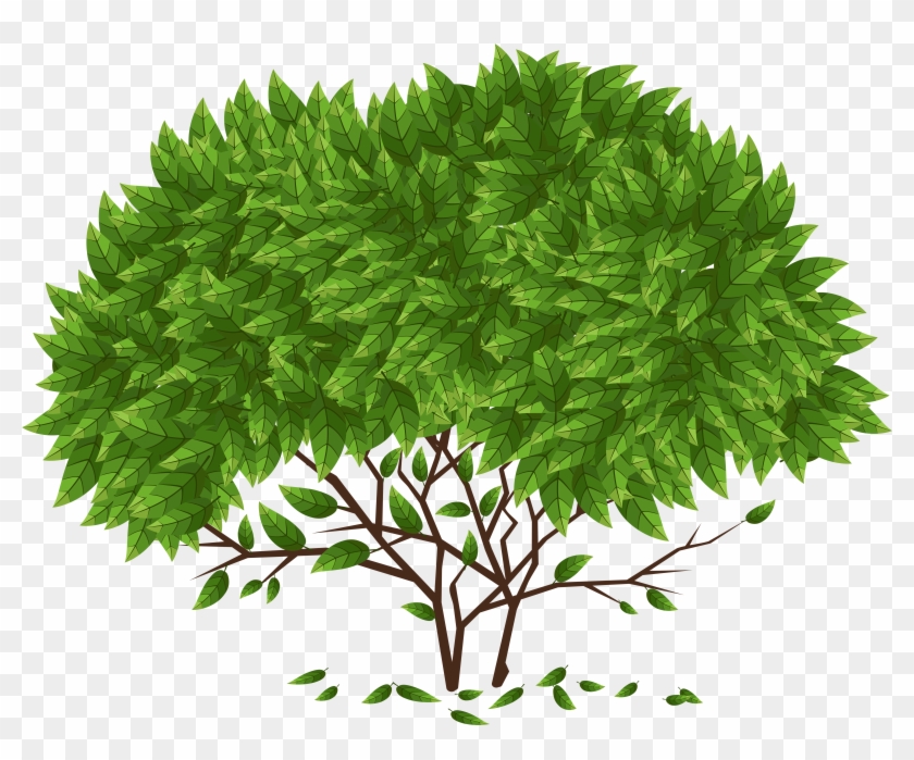 Tree Png Clip Art - Yellow Fir #382595