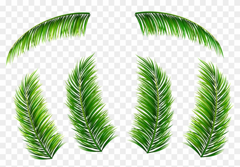 Palm Leaves Png Clip Art Image - Palma Png #382580