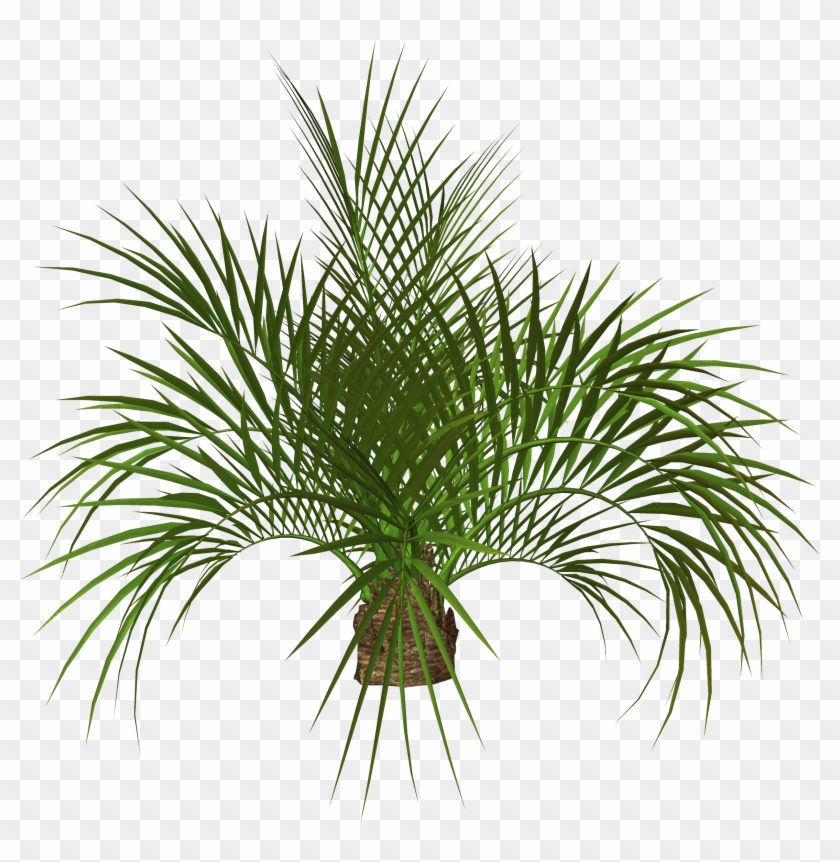 Palm Tree Clip Art - Flower Tree Png Hd #382583