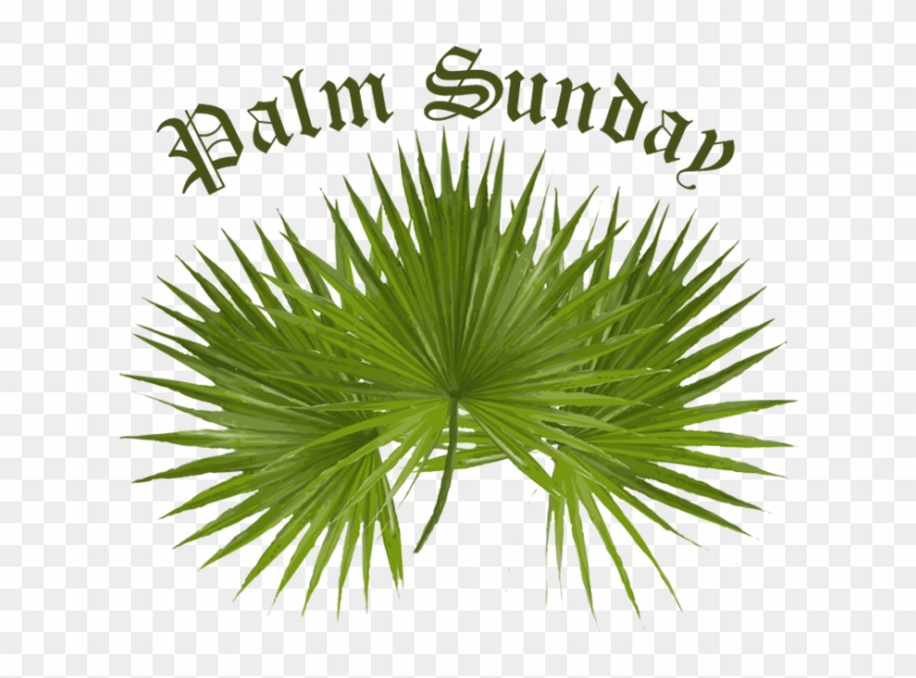 Palm Sunday Clip Art - Paul 16-old Gray 4 Magnets #382593