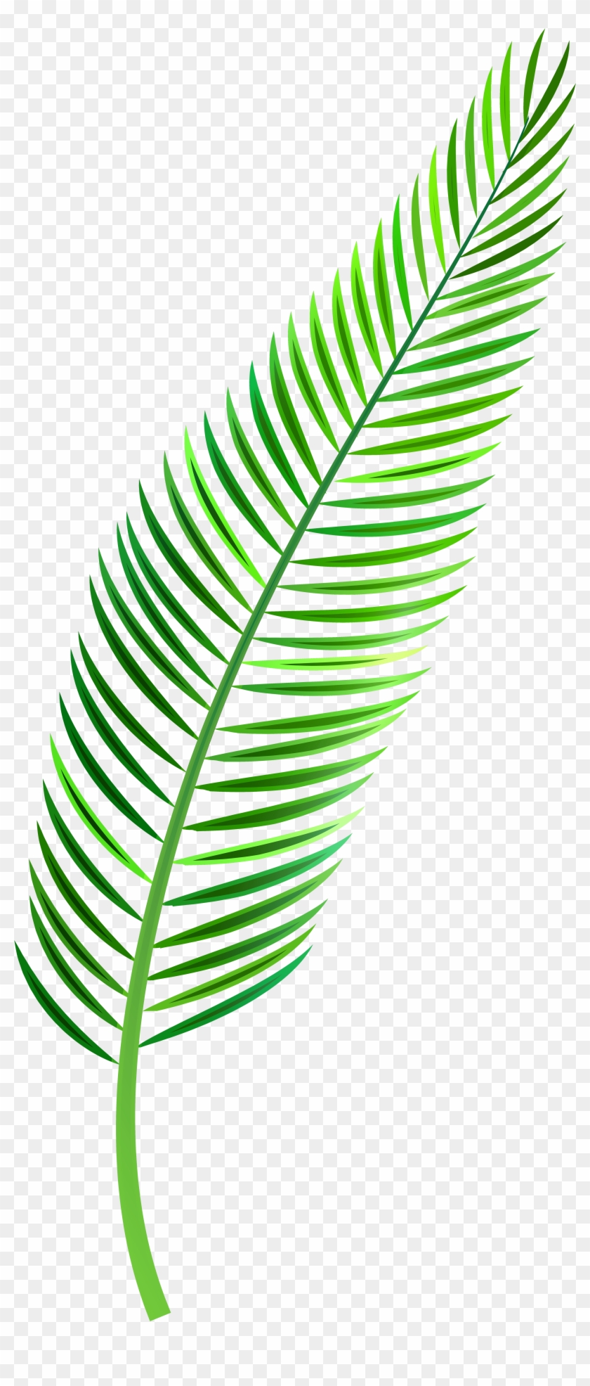 Palm Sunday Clipart - Palm Leaf Watercolor Png #382621