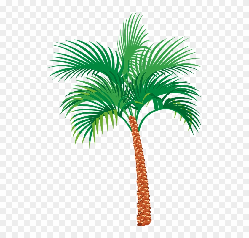 Palm Sunday Clipart 12, - Dates Tree Vector Png #382625