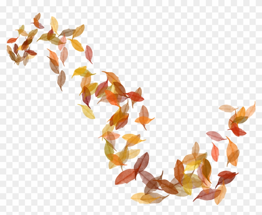 Autumn Leaf Color Clip Art - Autumn Leaves Transparent #382628