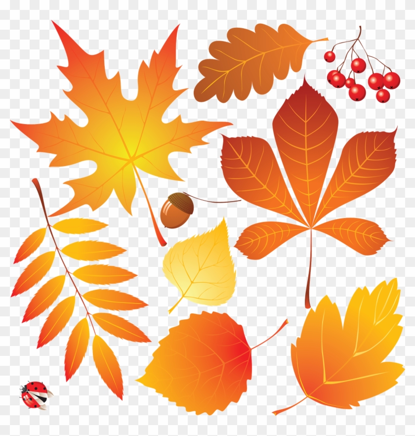 Autumn Leaves Drawing - Autumn Leaves Drawing #382738