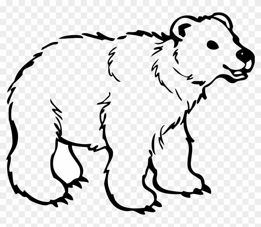 Jungle Animal Coloring Pages - Colouring Picture Of Bear - Free Transparent  PNG Clipart Images Download