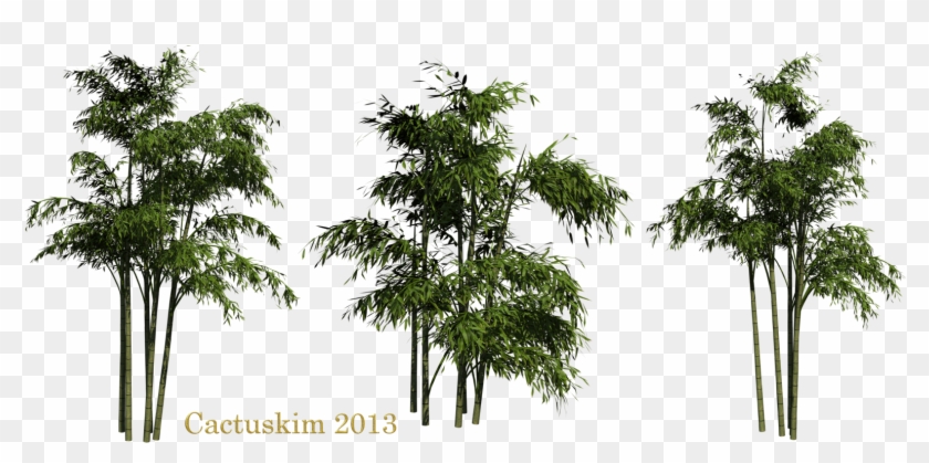 Bamboo Png Clipart - Bamboo Png #382690