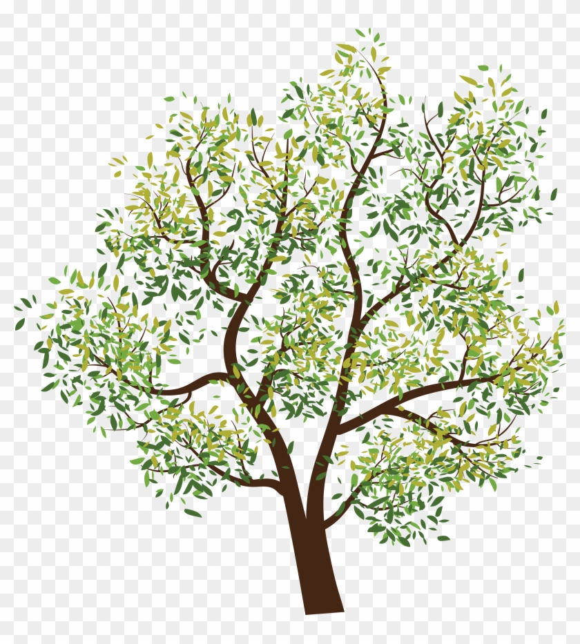Attibution Is Required- In Order To Use A This Photo - Tree Clipart Png #382711