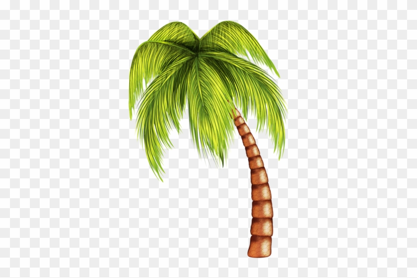 Tropical Clipart Summer Tree - Coconut Tree Tree Png #382718