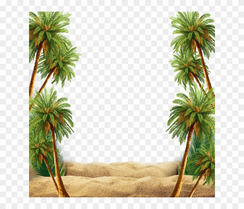 Summer Beach Scene With Palm Tree, Summer, Beach, Palm - All Is Forgiven, When Rooted In Love #382732