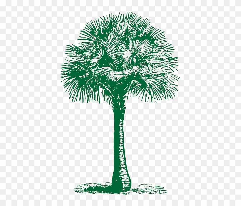 Fan, Outline, Palm, Tree, Plant, Automatic, Tropical - Palm Tree Beach Towel #382769