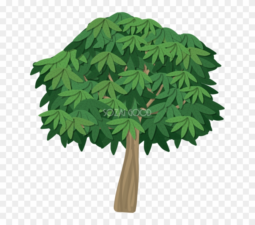 木 シンプルなしげる木 無料イラスト82056 - Maple Leaf #382866