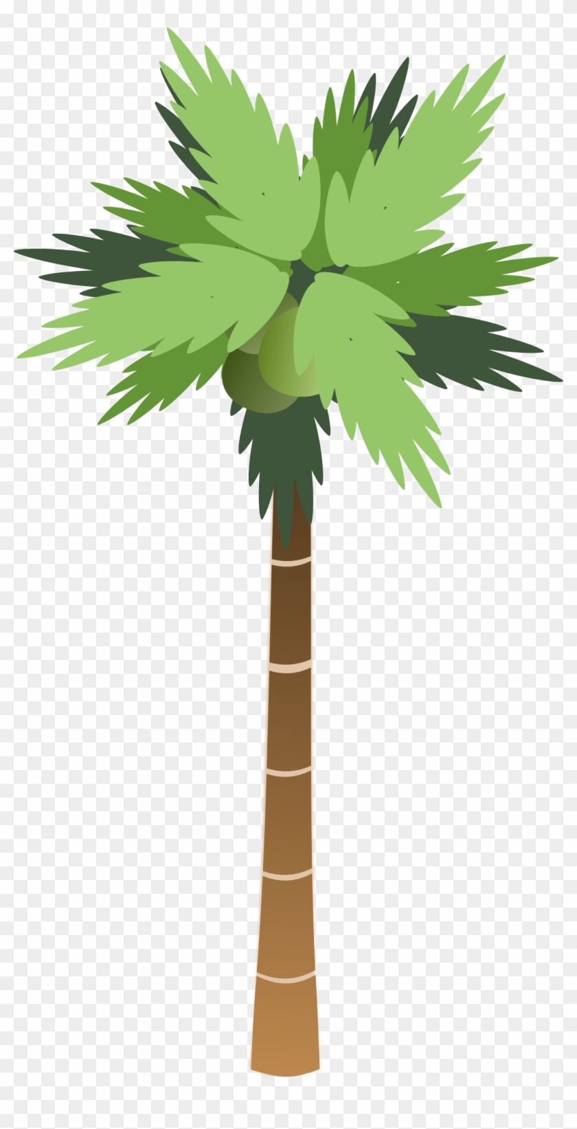10 Christmas Palm Tree Clip Art Free Cliparts That - Tall Tree Clip Art #382879