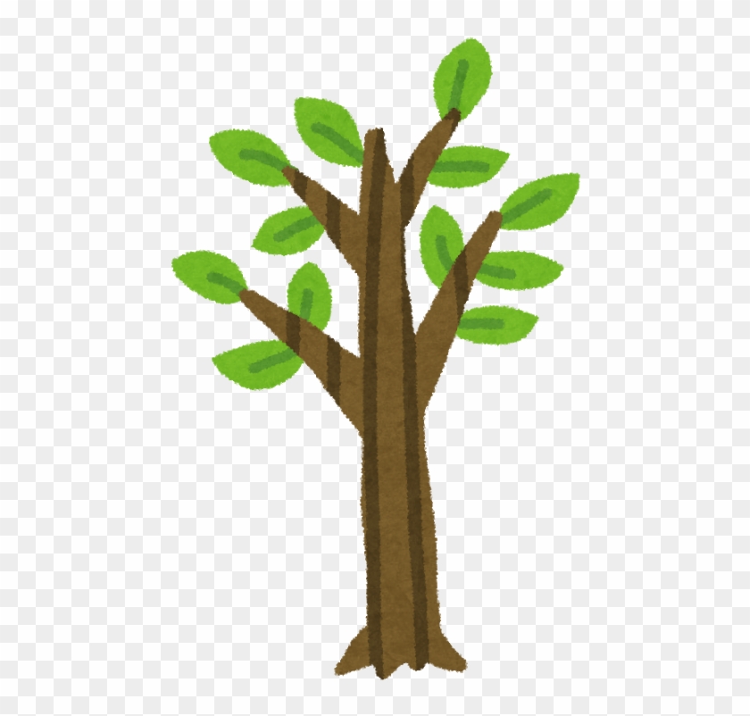 木の成長過程のイラスト5 - Tax #382907