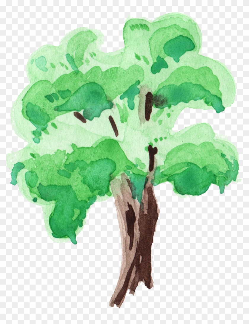 Free Download - Png Transparent Tree Png Watercolor #382923