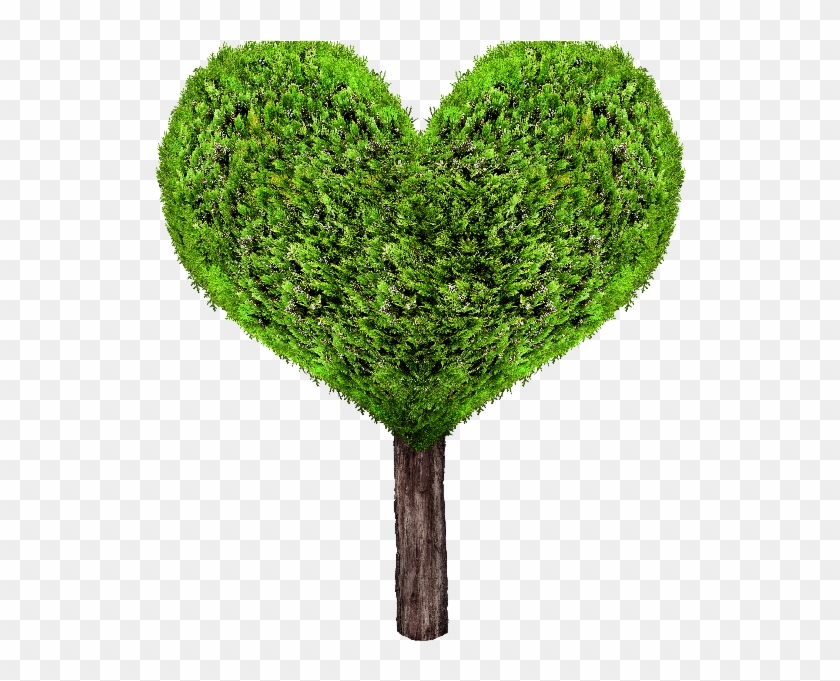 Green Heart Tree Png - Heart Tree Png #382941