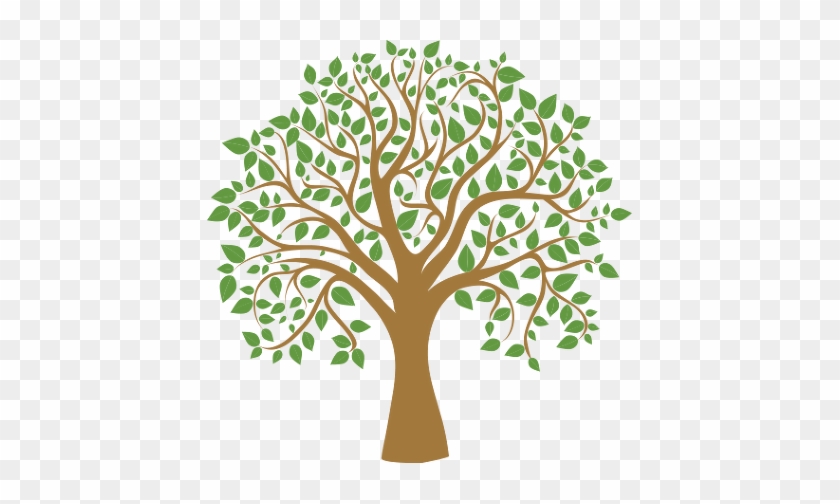 Tree Graphic - Maison Du Mezze Logo #382946
