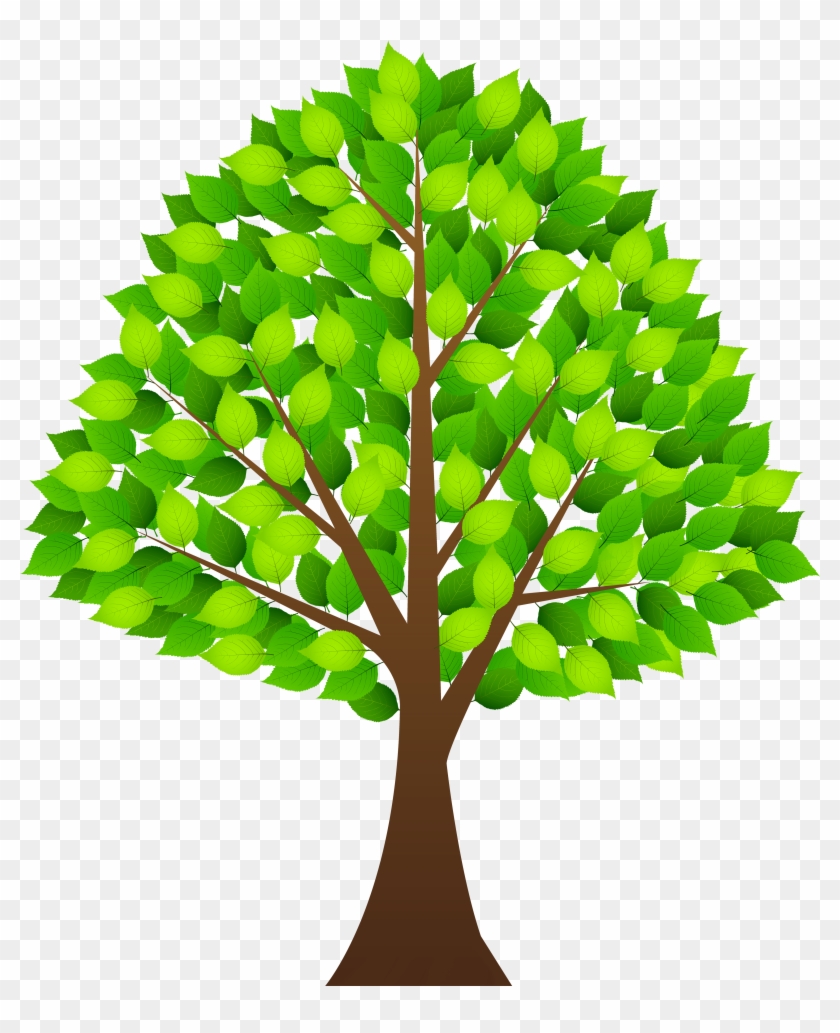 Transparent Tree Clipart - Tree Clipart Transparent Background #383005