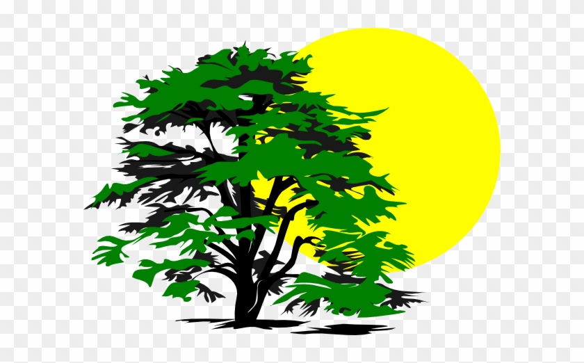 Sunshine Clipart Tree - Tree And Sun Clip Art #382999