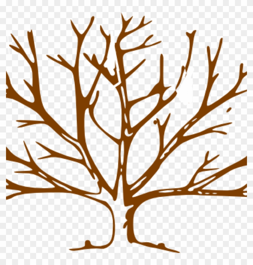 Bare Tree Clipart Brown Tree Clip Art At Clker Vector - Tree Outline #383062