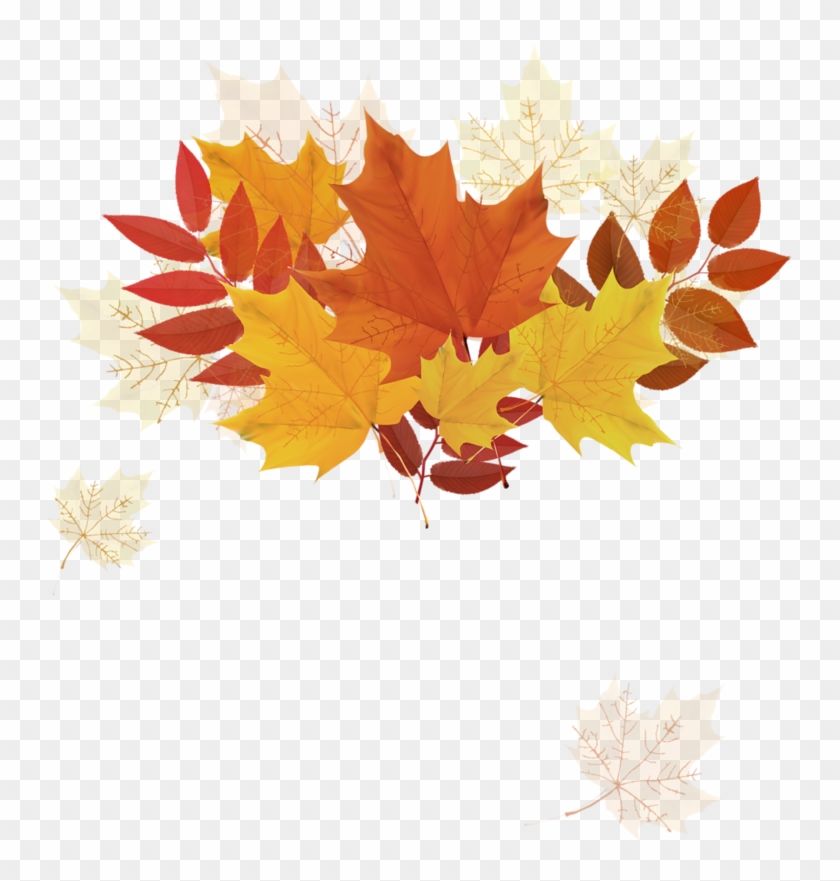 Autumn Leaf Color - Autumn Leaf Color #383141