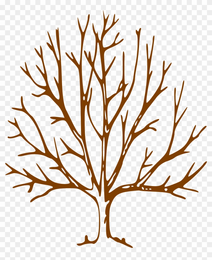 Simple Bare Tree Clipart Image Info - Nigger Of The Narcissus A Tale #383118