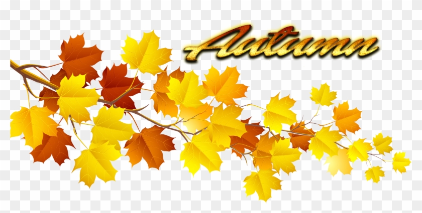 Autumn Leaves Png Pic - Autumn Leaf Png #383191