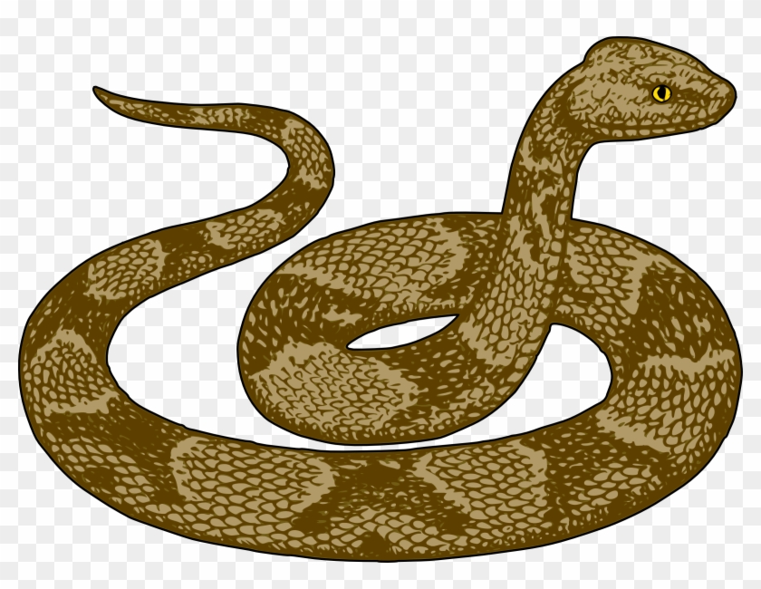Tree Python Clipart Anaconda - Snake Images Clip Art #383224