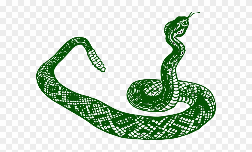 Dark Green Snake Clip Art - Green Snake Transparent Clipart #383238