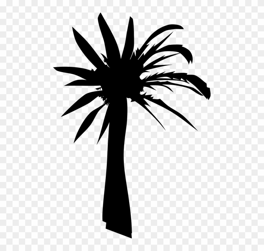Silhouette Palm Tree 7, Buy Clip Art - Palm Tree Clip Art #383329