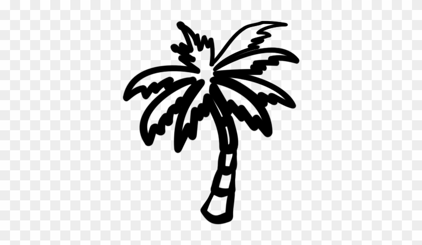 Palm Tree Clipart Single - White Palm Tree Icon #383333