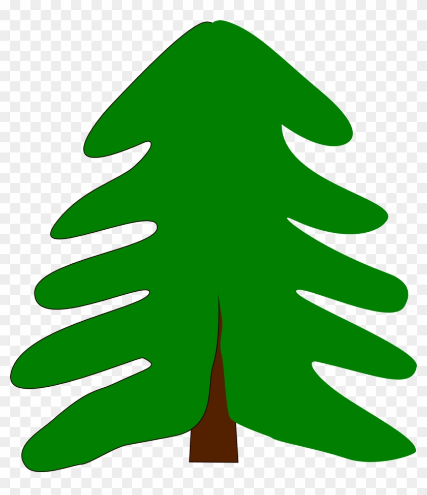 Photos Of Spruce Tree Clip Art Medium Size - Cartoons Of A Tree #383349