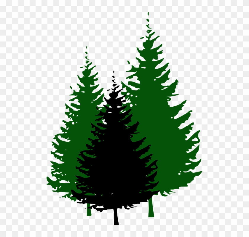 Pine Trees Cliparts 10, Buy Clip Art - Pine Trees Cliparts 10, Buy Clip Art #383361