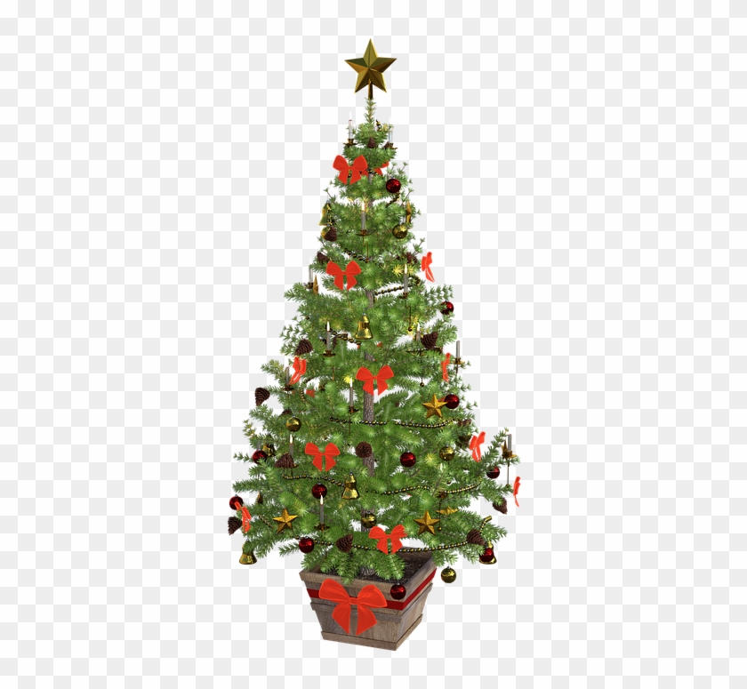 Christmas Tree, Christmas, Lights - Free Or Public Domain Christmas Tree #383365