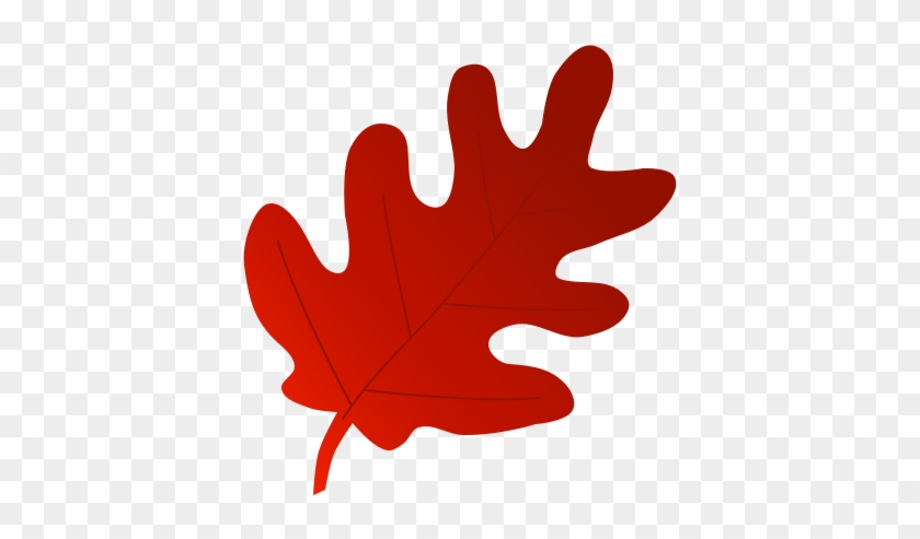 Maple Leaf #383410