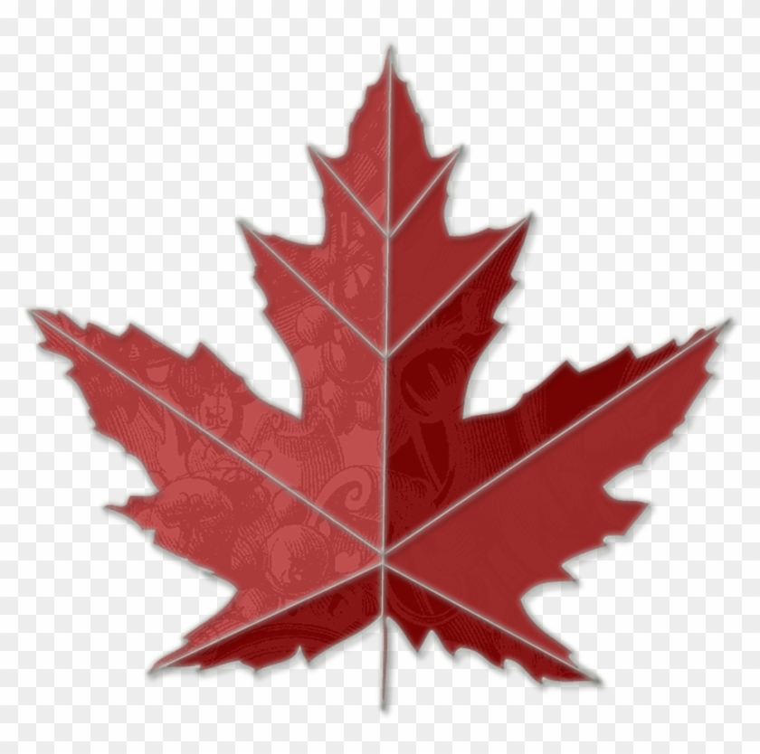 Red Maple Leaf Clip Art Maple Leaf - Red Maple Leafs Png #383418