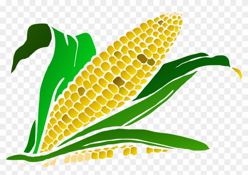 Corn Gradient Clip Art - Corn Clipart Png #383432