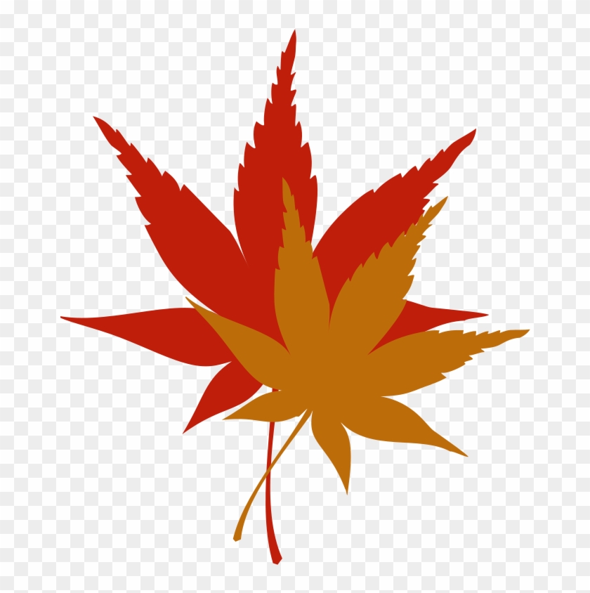 Japanese Maple Leaf Free Clip - Fall Leaves Clip Art #383447