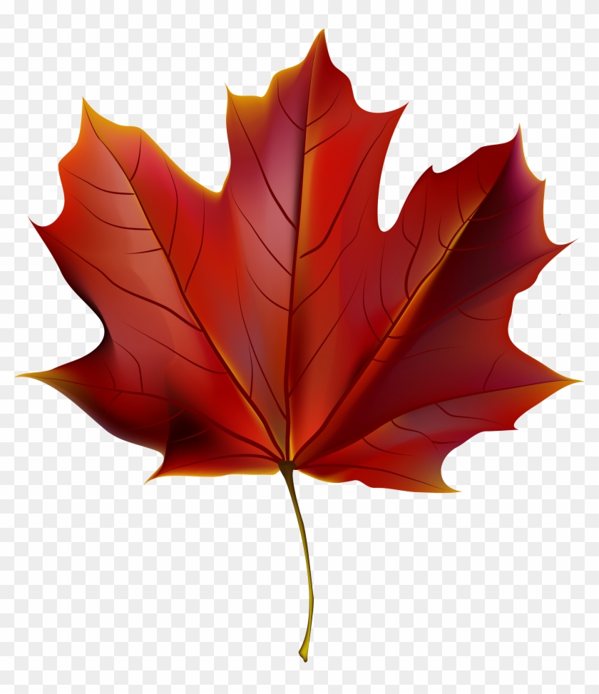 Beautiful Red Autumn Leaf Png Clipart Image - Red Autumn Leaves Clip Art #383457