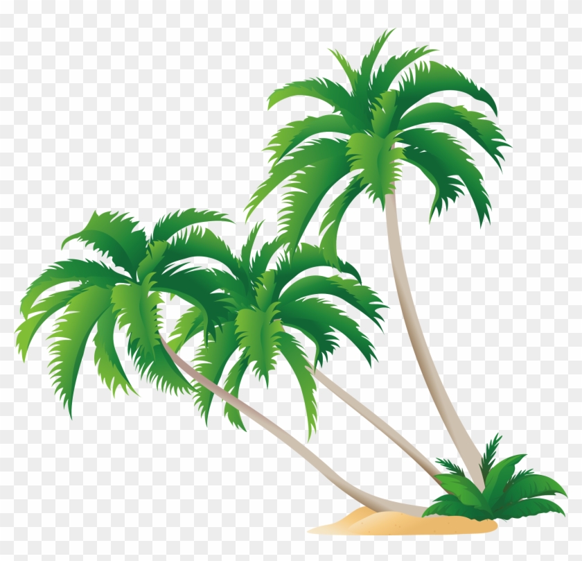 High-definition Video Display Resolution Wallpaper - Palm Tree Free Vector Png #383464