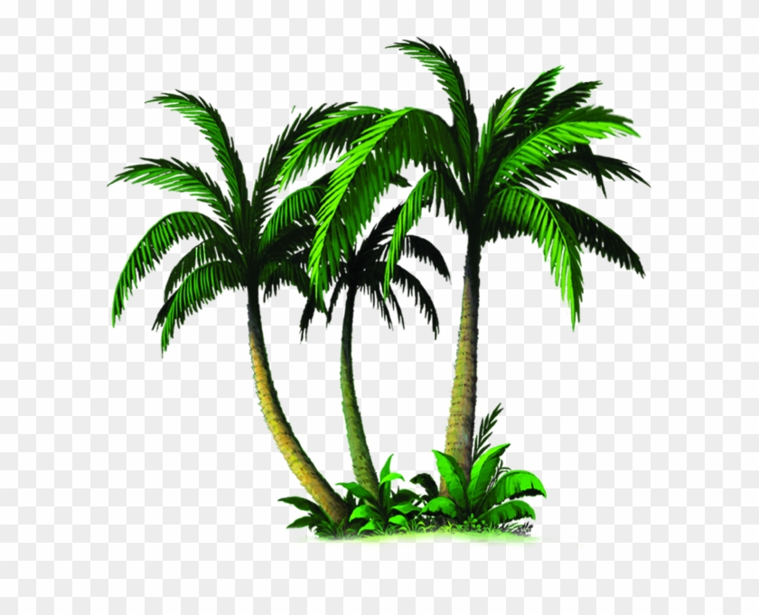 Palm Tree Vector Png - Palmiye Ağacı Png #383466