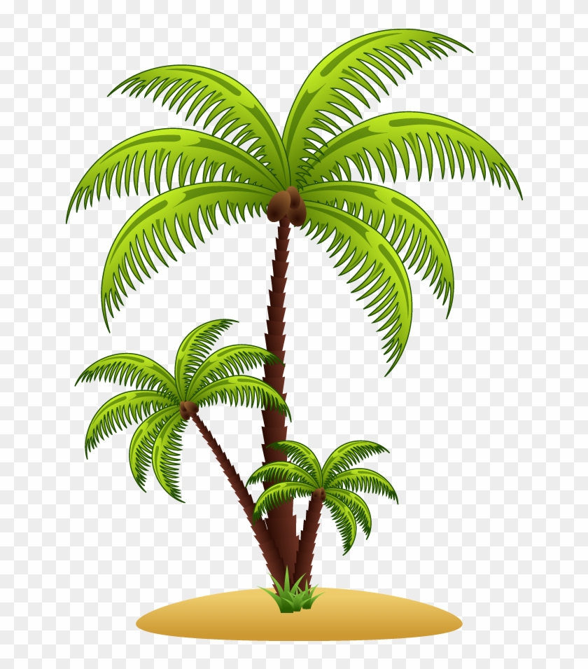 Arecaceae Euclidean Vector Tree Illustration - Arecaceae Euclidean Vector Tree Illustration #383472