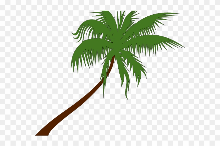 Palm Tree Vector Art - Coconut Tree Clip Arts #383482