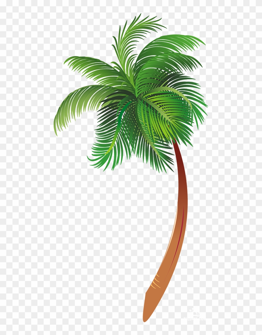 Palm Tree Cartoon Png #383529