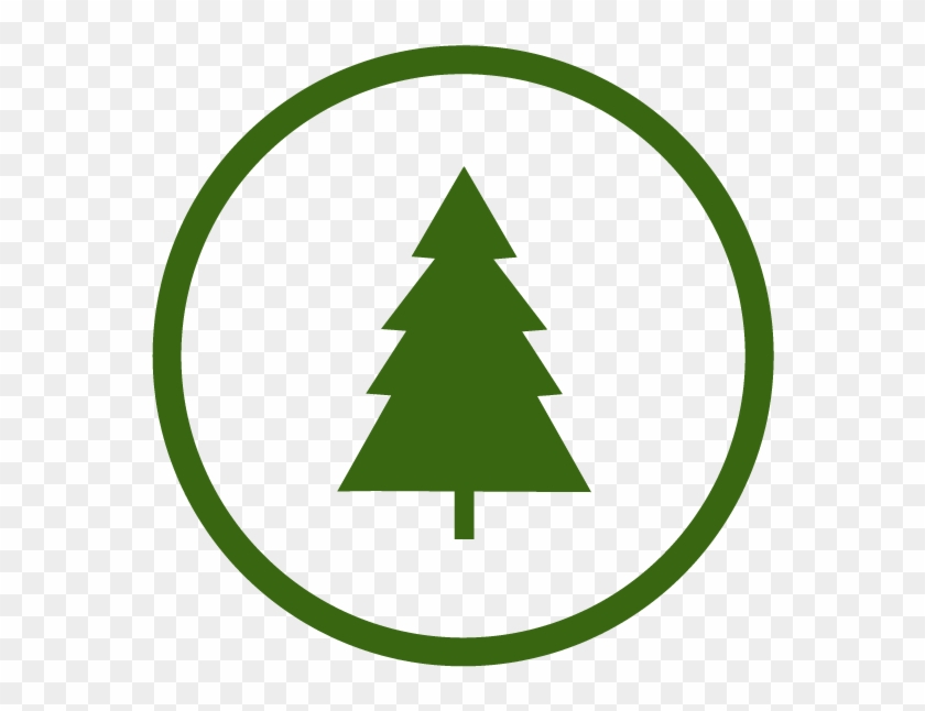 Placeholder - Pine Tree Silhouette Simple #383556