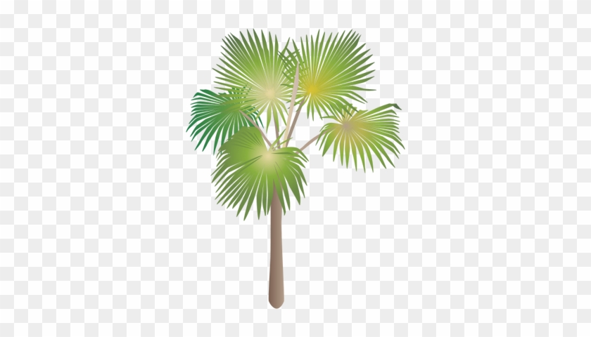 Interesting With Png Tropical Trees - Palm Vector #383560